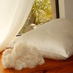 Organic Kapok Fill Pillows